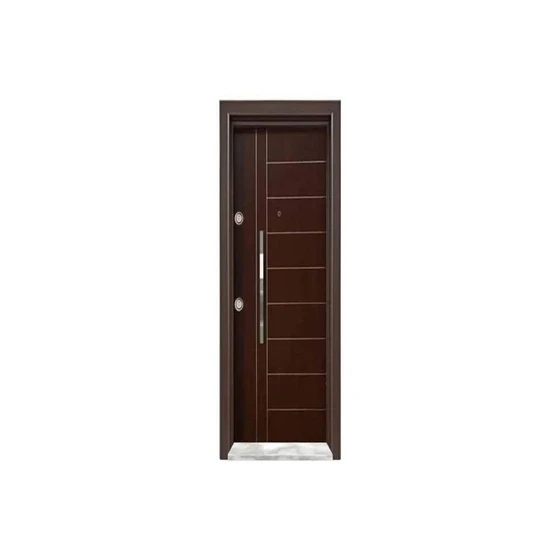 entrance-steel-door-2.webp