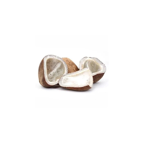 dry-coconut-copra-1.webp