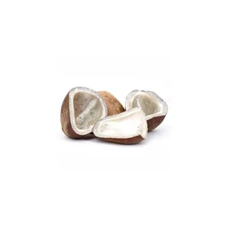 Dry Coconut Copra