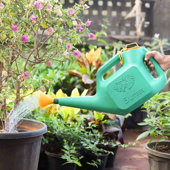 garden-water-can-2.webp