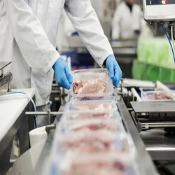 Meat Processing Plants