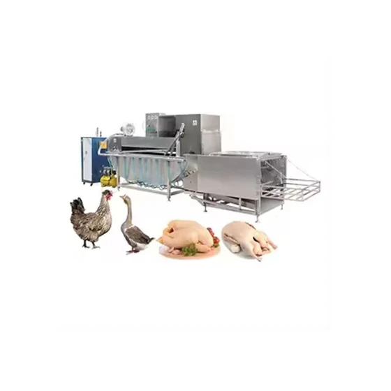 poultry-slaughter-line-2.webp