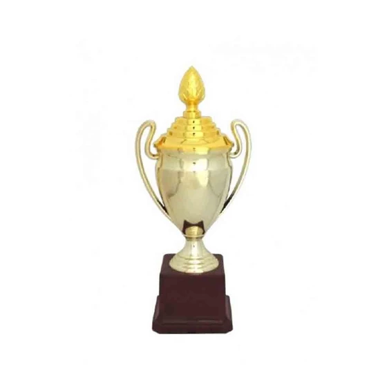 trophy.webp