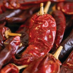 Kashmiri Whole Spices, Deep Red colour, Paprika variety