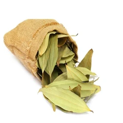 Whole Spices Tej Patta, Leaves form, suitable size