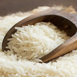 Raw Basmati Rice, Vegetarian type, Non-Sticky