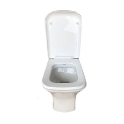 Toilet Seat Designs, Adds a touch of modernity types