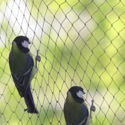 Easy To Install Premium Bird Protection Net For Balcony