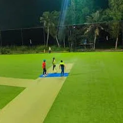Cricket Turf Bellinturf, 40 square meter moq
