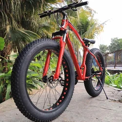 Big Gear Cycle, Alloy frame and triple wall rims