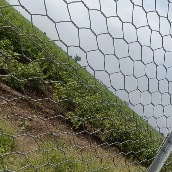 honeycomb-mild-fencing-2.webp