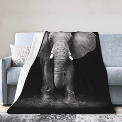 Soft & warm, shrink-resistant elephant silky blanket