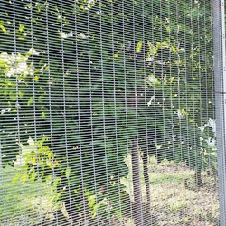 Anti Mesh Fencing