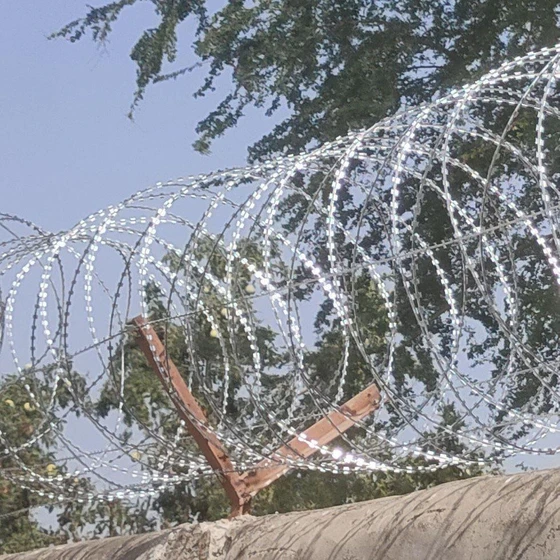 ptcc-wall-fencing-2.webp