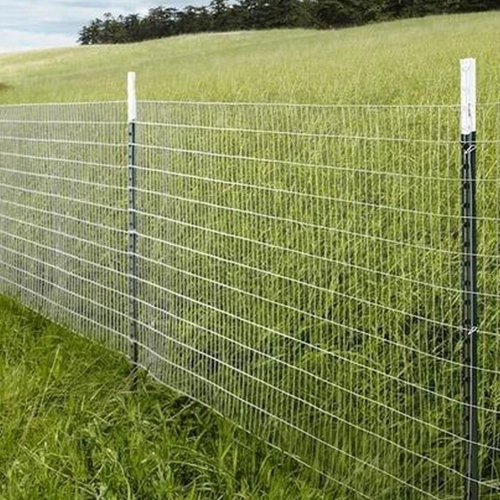 agricultural-link-fencing-2.webp