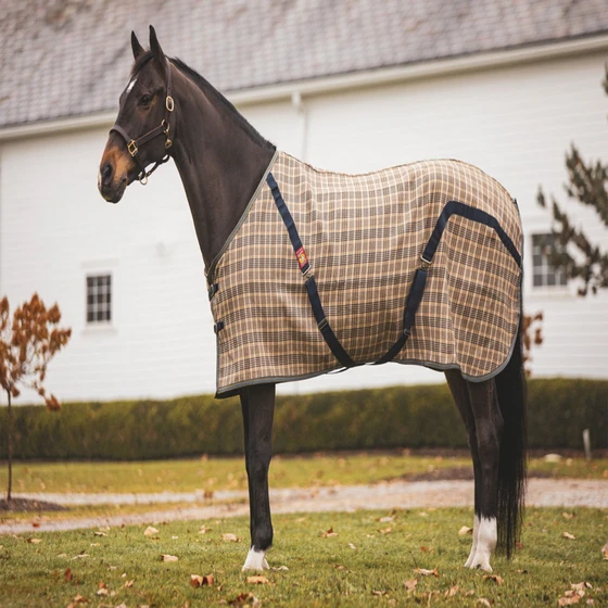 embroidered-horse-blanket-2.webp