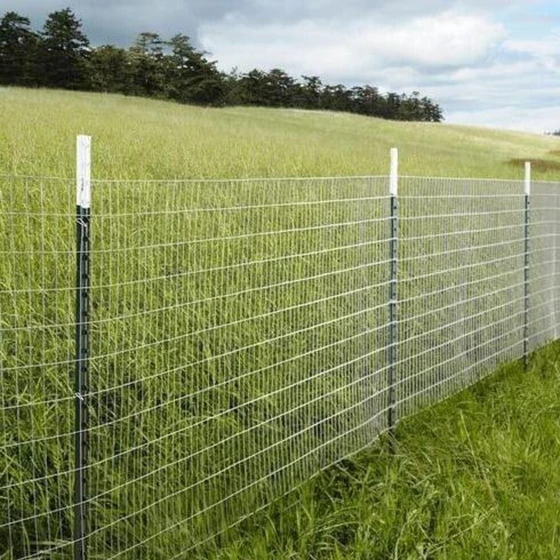 silver-field-fencing-2.webp