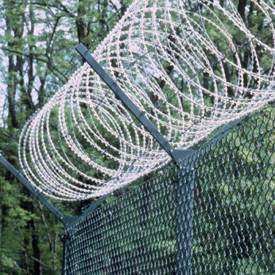 concertina-coils-fencing-2.webp