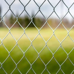 Poultry Chain Link Fence
