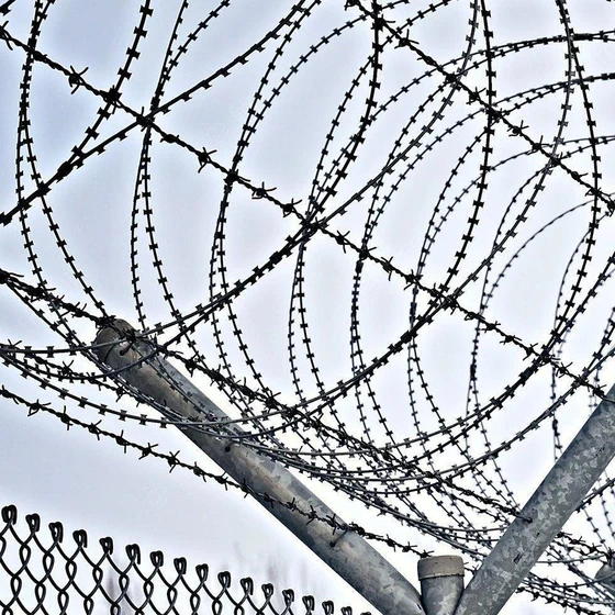 security-wire-fencing-2.webp