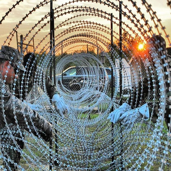 coil-concertina-fencing-1.webp
