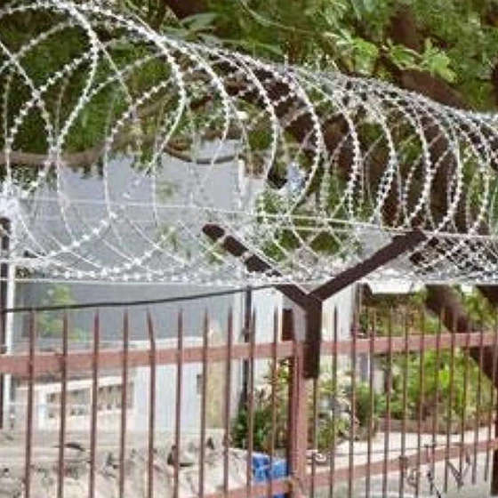 coil-concertina-fencing-2.webp