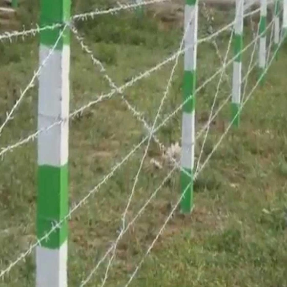 barbed-fence-wire-1.webp
