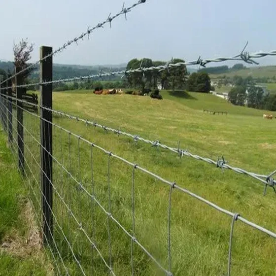 barbed-fence-wire-2.webp
