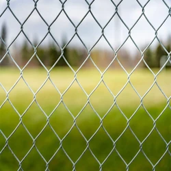 Galvanized Iron Fence