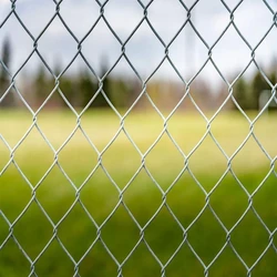 Poultry Iron Fencing