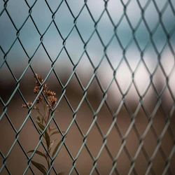 Stainless Steel Fence