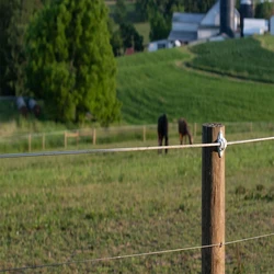 Fencing Electric System