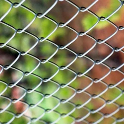 Fencing Chain Link