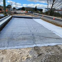 Reinforcement Geo Grid