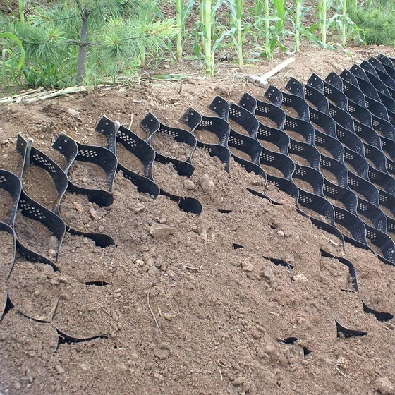 soil-geo-grid-2.webp