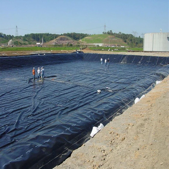 hdpe-agriculture-geomembrane-2.webp