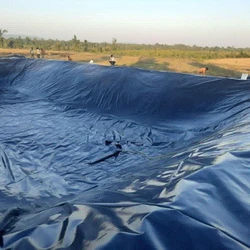 Hdpe Agriculture Geomembrane