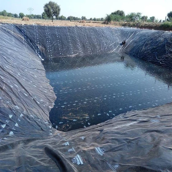 hdpe-geo-membrane-pond-2.webp