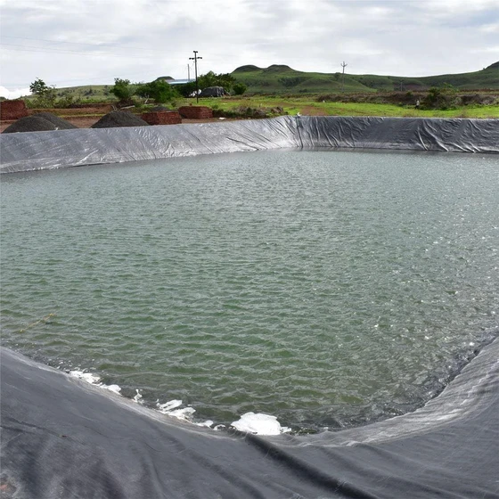 geo-membrane-pond-liner-2.webp