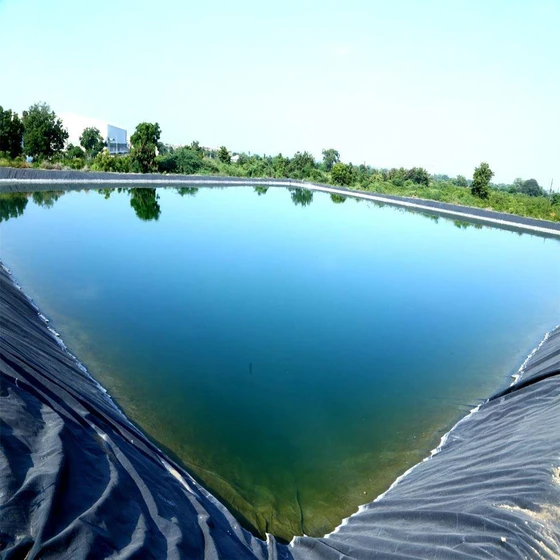 hdpe-pond-lining-1.webp