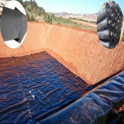 Geomembrane Power Plant
