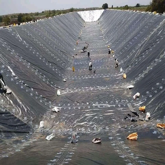 plant-geomembrane-power-2.webp