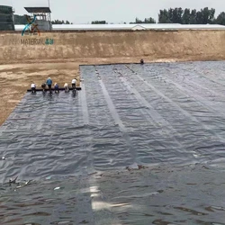 Plant Geomembrane Power 