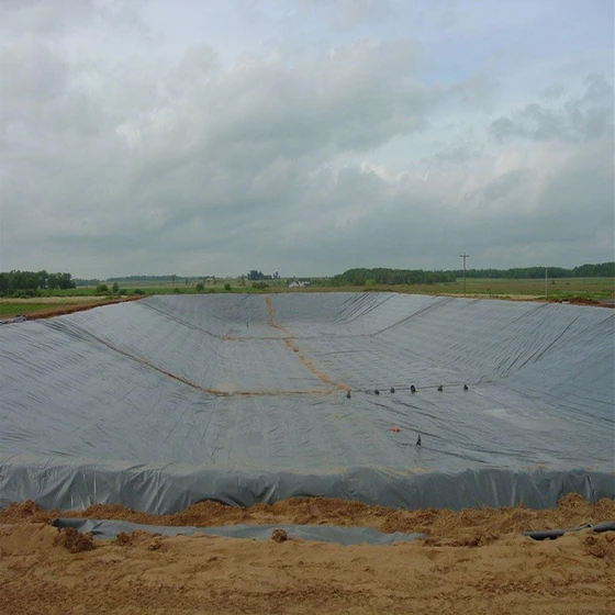 geomembrane-agriculture-plant-2.webp