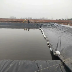 Construction Geomembranes Sheet 