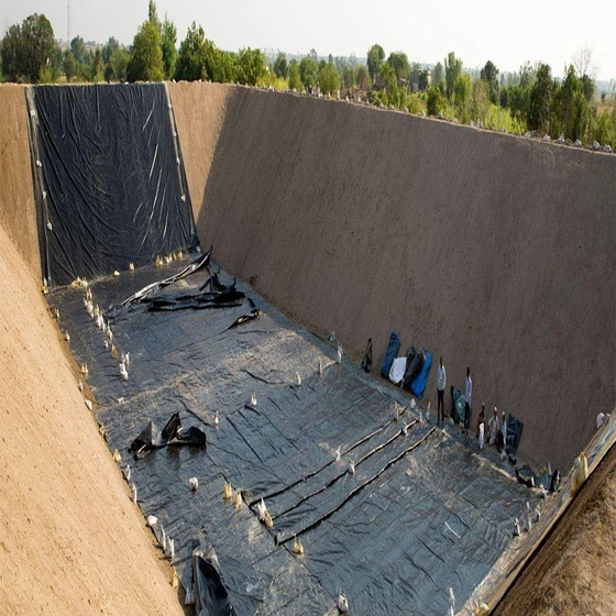 thermoplastic-geomembrane-sheet-2.webp