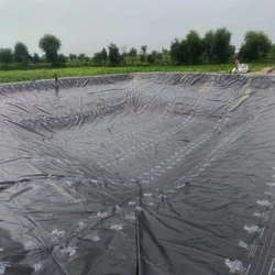 Thermoplastic Geomembrane Sheet