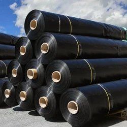 Hdpe Geomembrane Sheet