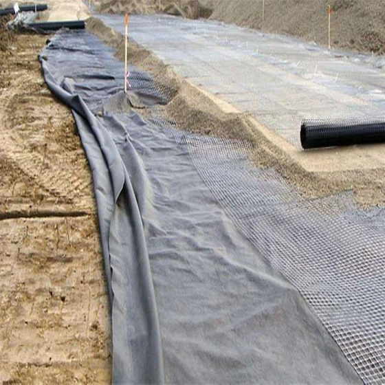 polyester-geotextile-membrane-2.webp