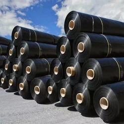 Smooth Geomembrane Sheet